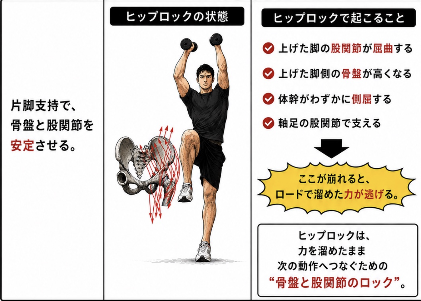 ヒップロック：片脚支持で骨盤と股関節を安定させる。上げた脚の股関節が屈曲し、上げた脚側の骨盤が高くなり、体幹がわずかに側屈、軸足の股関節で支える。ここが崩れると、ロードで溜めた力が逃げる＝骨盤と股関節のロック