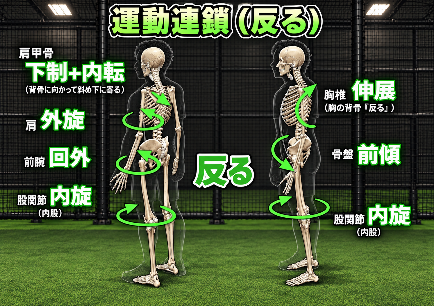 反る運動連鎖